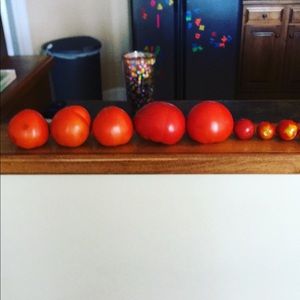 Meet your Posher, Kayla